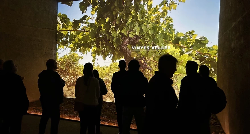 img-9366.jpg img-9366.jpg