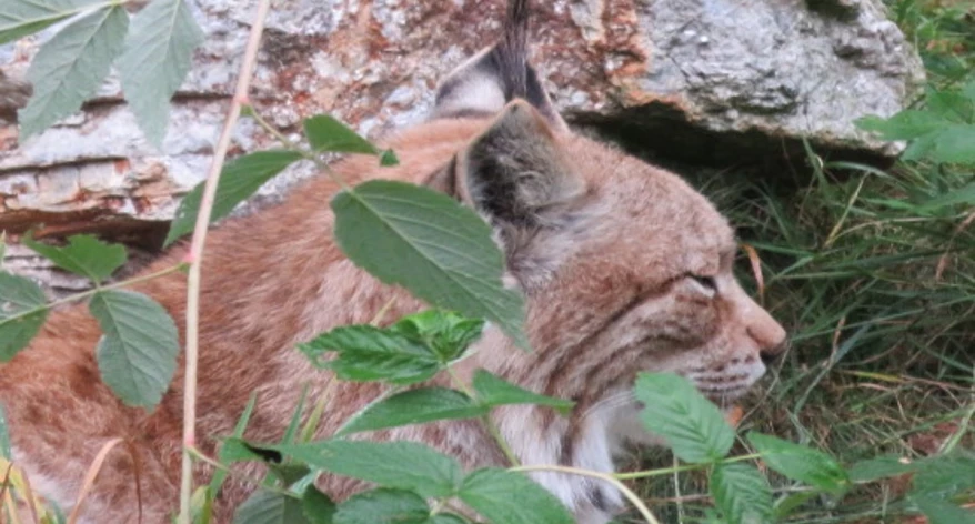  Joan Manel Parrmon (periodista)