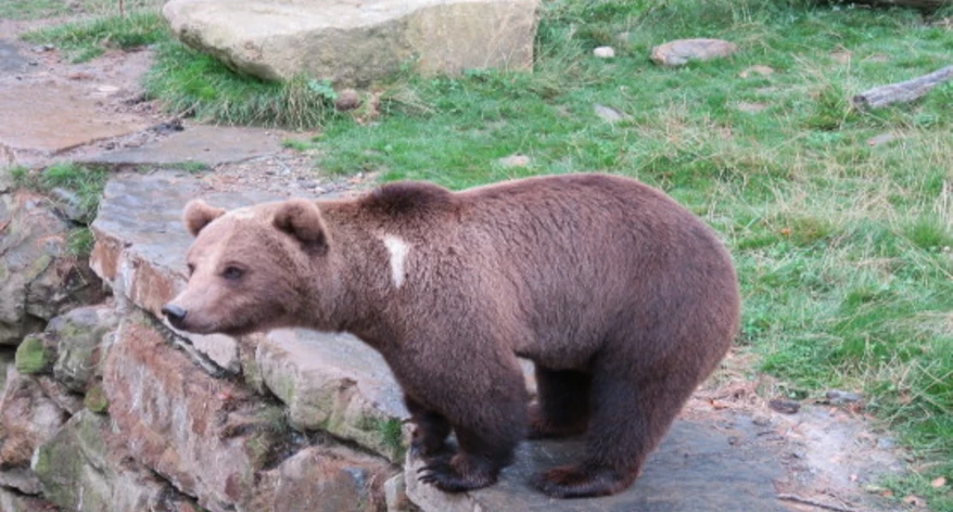  Juan A. Serrano (alcalde)