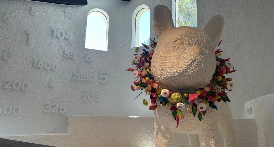 0-whatsapp-image-2025-04-30-162624-39.jpeg 0-whatsapp-image-2025-04-30-162624-39.jpeg