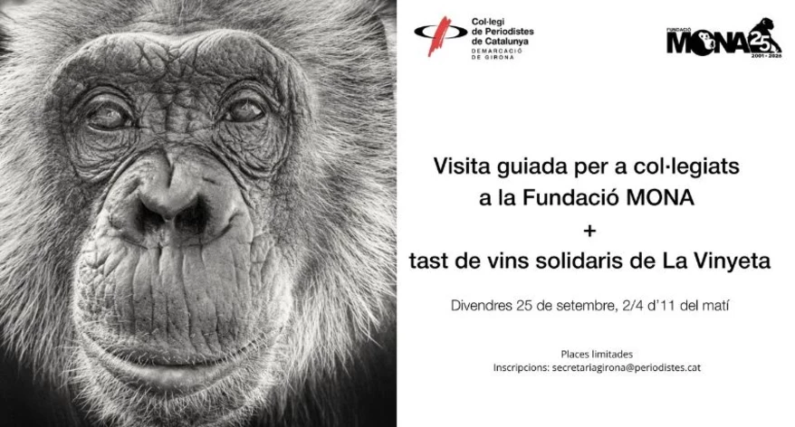 Visita per a col·legiats a la Fundació MONA