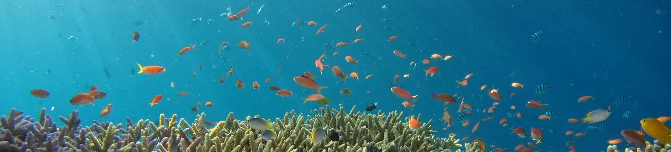 Nautic Parc Costa Daurada