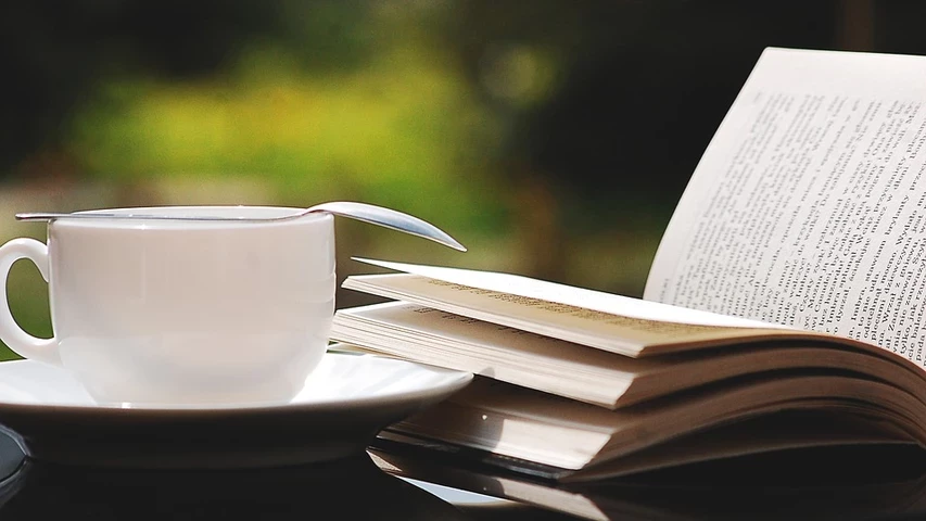 book-2388213-960-720.jpg