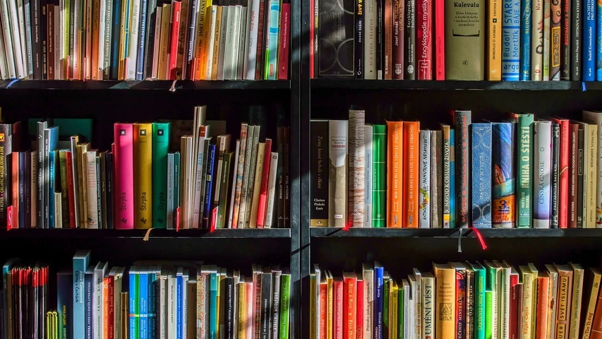books-1204029-1280.jpg