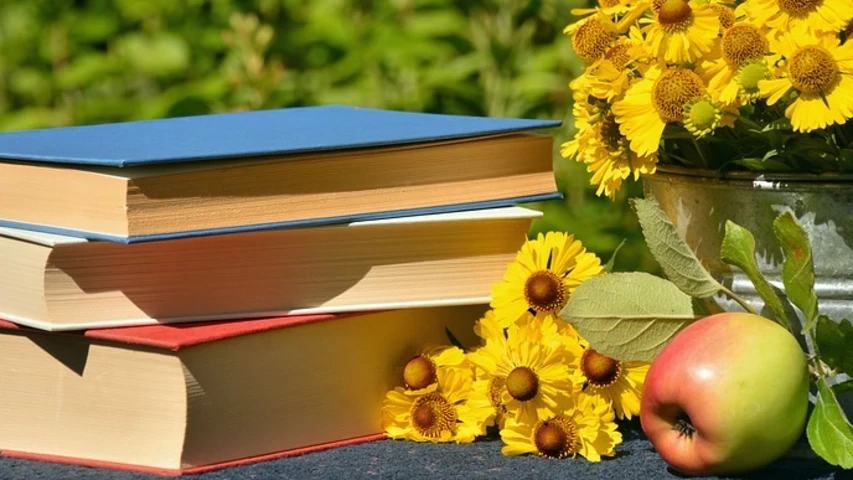books-1757734-960-720.jpg