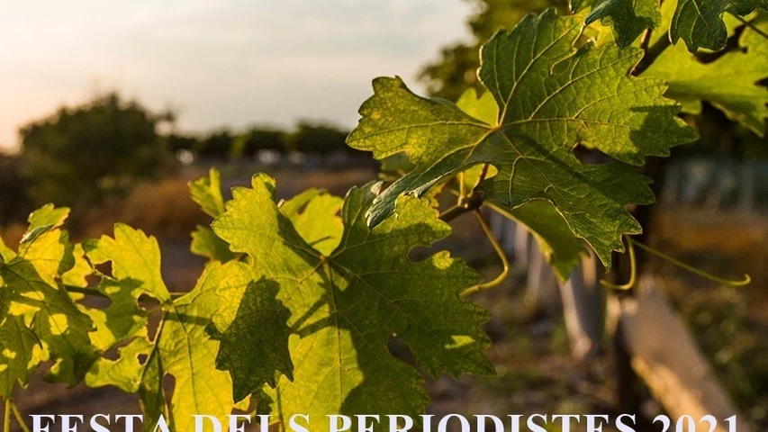 cartell-festa-2021-01.jpg