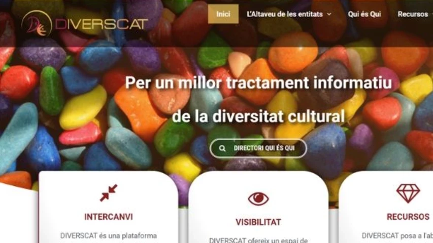 diverscat.jpg