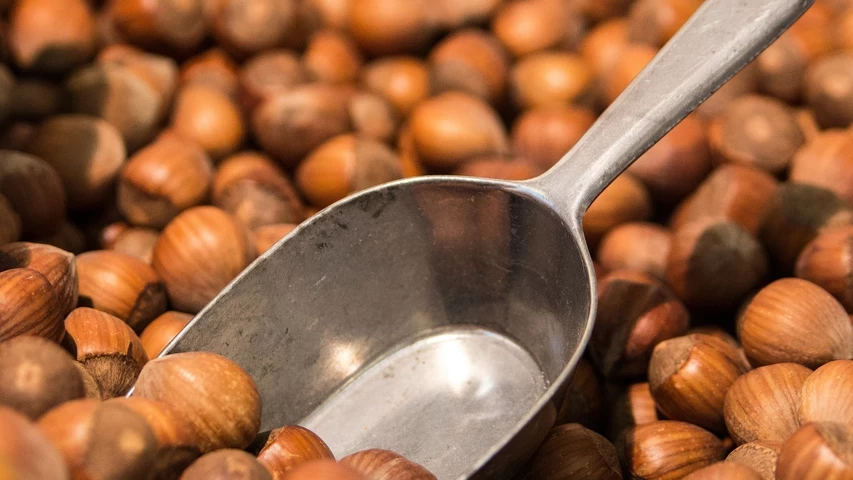 hazelnuts-264824-1920.jpg