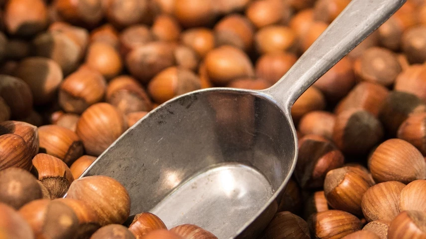 hazelnuts-264824-1920.jpg