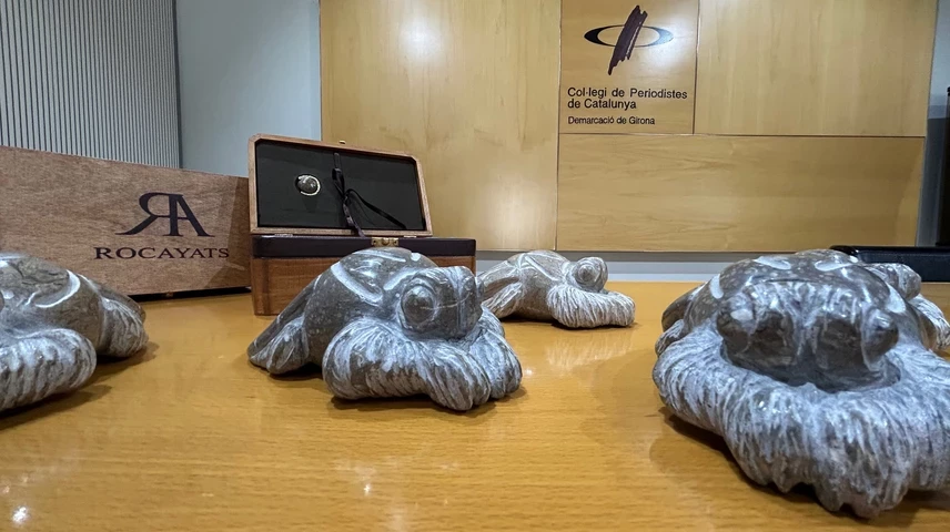 Les Mosques de la Informació creades per Rocayats. 