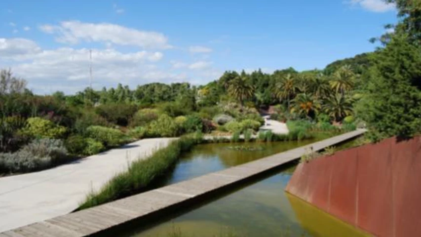 jardi-botanic-de-barcelona-scene.jpg