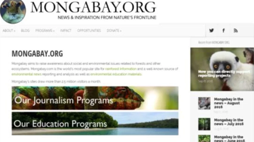 mongabay.jpg