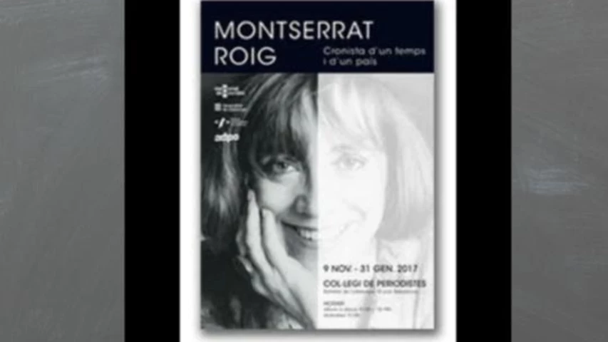 montserratroigexpoweb.jpg