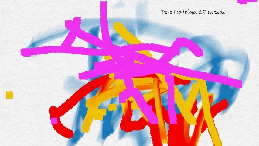 nadal-abstracte-com-ho-ha-estat-el-2017.jpg