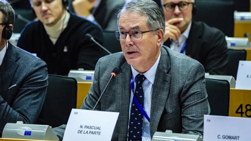 nicolas-pascual-de-la-parte-foto-1.jpg
