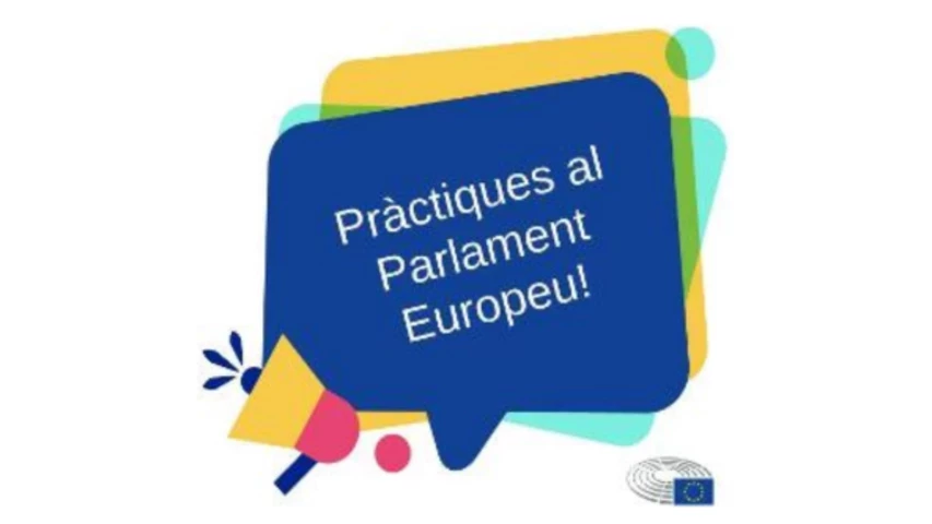 practiques-parlament-europeu.png