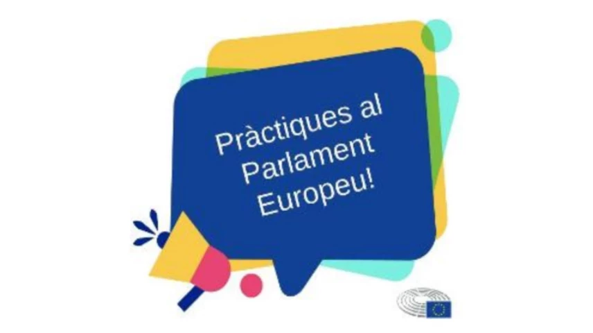 practiques-parlament-europeu.png