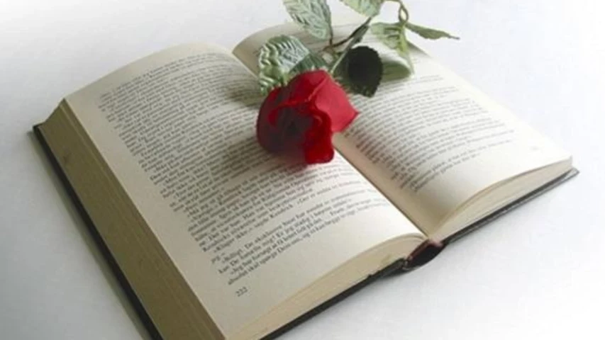 rose-and-book2.jpg