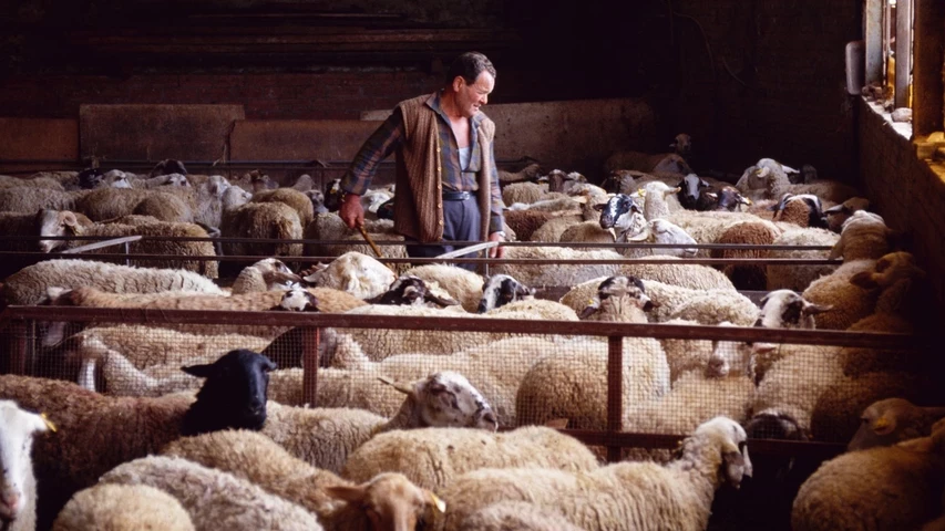rural-1.jpg