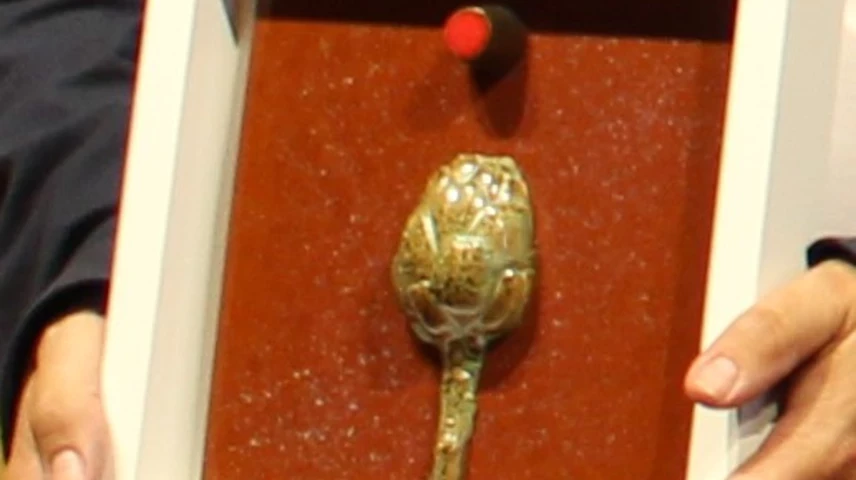 Els Premis Micro són la característica carxofa. 