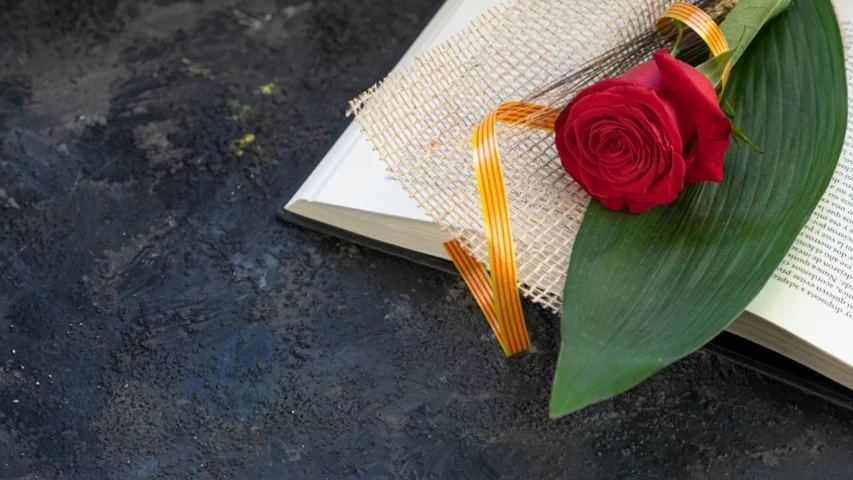 Sant Jordi