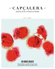 capcalera-161-periodica.jpg