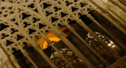 El claustre de la Seu Vella