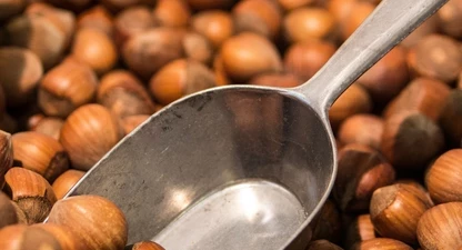 hazelnuts-264824-1920.jpg