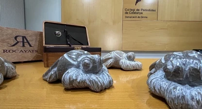Les Mosques de la Informació creades per Rocayats. 