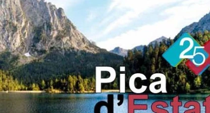 pica-estats-2013-def.jpg