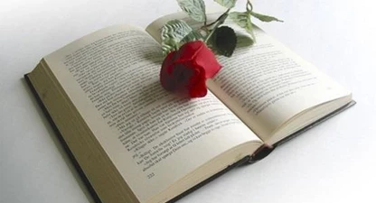 rose-and-book2.jpg