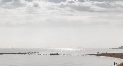 27217794040-c393d8be2d-c.jpg