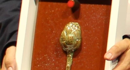 Els Premis Micro són la característica carxofa. 