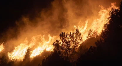 Imatge d'un incendi.