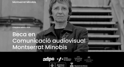 V Beca Minobis